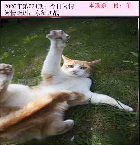 034期今日闲情[图]