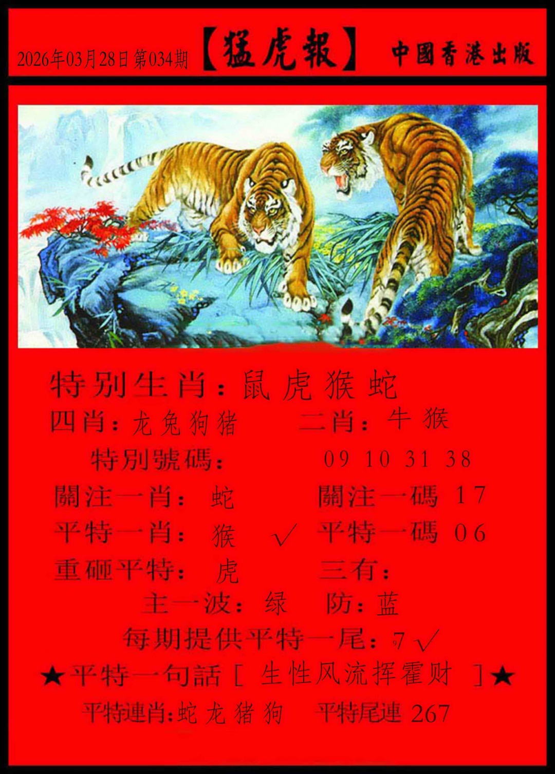 034期猛虎报[图]
